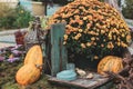 An autumn decoration composition of pumpkins and chrysanthemum