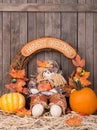 Autumn decoration Royalty Free Stock Photo