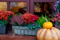 Autumn decoration. Pumpkin and flowers in baskets