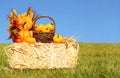 Autumn Decoration. Pumpkins with Basket on Straw Bale
