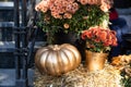 Autumn decoration with pumpkins and flowers on a street in a European city Royalty Free Stock Photo