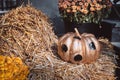 Autumn decoration with pumpkins and flowers on a street in a European city Royalty Free Stock Photo