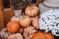 Autumn decoration with pumpkins and flowers on a street in a European city Royalty Free Stock Photo