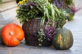 Autumn decoration with pumpkins and flowers on a street in a European city Royalty Free Stock Photo