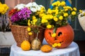 Autumn decoration with pumpkins and flowers on a street in a European city Royalty Free Stock Photo