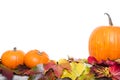 Autumn decoration, pumpkins and leaves