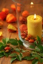 Autumn decoration of rose hips and candle Royalty Free Stock Photo