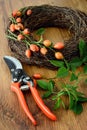 Autumn decoration of rose hips. floristry. Royalty Free Stock Photo