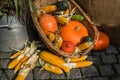 Autumn decoration vegetables