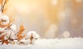 Autumn Decorations A Snowy Background. Focus stacking