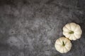 Autumn . Decorative pumpkin Baby Boo on dark background.top view Royalty Free Stock Photo