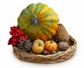 Autumn decorative pumpkins, cones and nuts