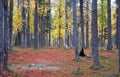 Autumn in Deep Taiga Forest, Finland Royalty Free Stock Photo