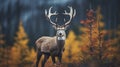 Autumn Deer In Baroque Forest: A Stunning Uhd Image By Mike Campau