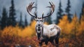 Autumn Deer In Western-style Portrait: A Captivating Blend Of Indigenous Culture And Baroque Animals