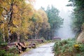 Autumn Deerpark and Djouce Woods, Ireland Royalty Free Stock Photo