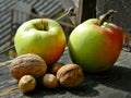 Autumn delicious fruits on the window pane