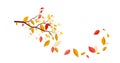 An Autumn Design with Autumnal Branch