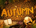Autumn design - Dear diary Royalty Free Stock Photo