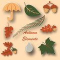 Autumn design elements. Oak, maple and other leaves and acorns. Umbrella and drop Royalty Free Stock Photo