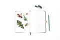 Autumn desktop stationery mock-up scene. Blank notebook with pencil, black washi tape, oak leaf, acorn and little apples