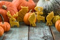 Autumn dessert. Pumpkin cookies shaped like animals: bear, moose Royalty Free Stock Photo