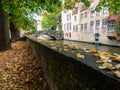 Autumn details on a canal in the medieval city of Bruges, Belgium Royalty Free Stock Photo