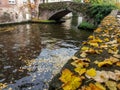 Autumn details on a canal in the medieval city of Bruges, Belgium Royalty Free Stock Photo