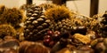 autumn details. chestnuts in shell, dried pine cones, red fruits