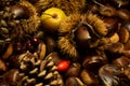 autumn details. chestnuts in shell, pine cones, red fruits, apple