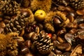 autumn details. chestnuts in shell, pine cones, red fruits, apple