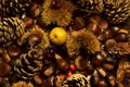 autumn details. chestnuts in shell, pine cones, red fruits, apple