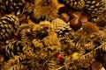 autumn details. chestnuts in shell, pine cones, red fruits, apple