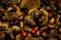 autumn details. chestnuts in shell, pine cones, red fruits