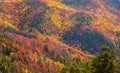 Autumn details and textures with orange, yellow and red color shades. Nature aerial photo used for backgrounds