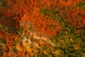 Autumn details and textures with orange, yellow and red color shades. Nature aerial photo used for backgrounds
