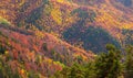 Autumn details and textures with orange, yellow and red color shades. Nature aerial photo used for backgrounds