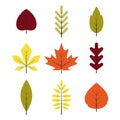 Autumn different leaves set in flat style. Red, green, yellow, orange leaf isolated