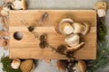 Autumn dinner concept - cutting board with fresh porcini boletus oak muchrooms, high quality, ready to cook