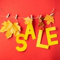 Autumn discount letters from yellow paper and dry leaves hang on clothespins on a red background. Autumn sale concept.