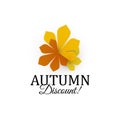 Autumn discount sign. Three autumn colors chestnut leaves. Vector logotype template. Sale label template.