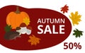 Autumn discounts, banner, poster. Pumpkin, mushrooms, hedgehog, autumn leaves. Vector. In the style of hand drawing