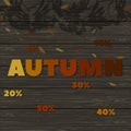 Autumn discounts. wooden texture image with the words -autumn- and the shadow of a mountain ash branches