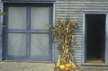 Autumn Display Leaning on Building, Waterloo, New Jersey Royalty Free Stock Photo