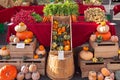 Autumn display at a local farmer\'s market of pumpkin, squash, and root vegetables