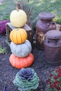 Pumpkins, gourds, ornamental cabbage, mums and milk cans in the public gardens in Lewes Delaware. Royalty Free Stock Photo