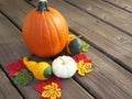 Pumpkin and Gourd Autumn Display on Wooden Floor