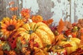 Autumn display with a squash surrounded by decorative gourds and Royalty Free Stock Photo