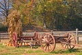 Autumn Display Royalty Free Stock Photo