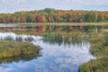 Autumn Doe Lake Royalty Free Stock Photo